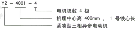 YR系列(H355-1000)高压YE2三相异步电机西安西玛电机型号说明